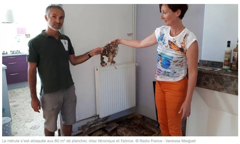 Saint-Gaudens - une famille confrontée à l’enfer de la mérule - France Bleue Occitanie - 30 juillet 2018