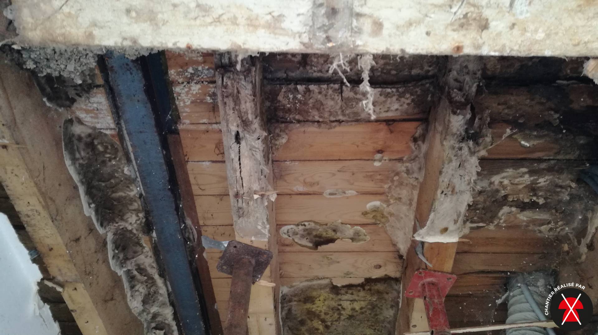 La mérule s’est glissée entre le fond plafond et le vieux plancher